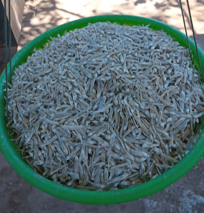 Pescado Oreado